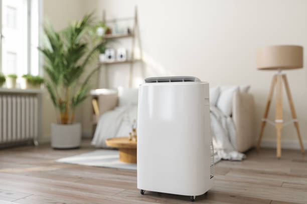 Best HVAC Maintenance Near Me  in Stoneville, NC